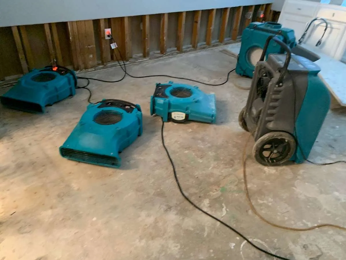 Water Damage Restoration services in Spanaway, WA